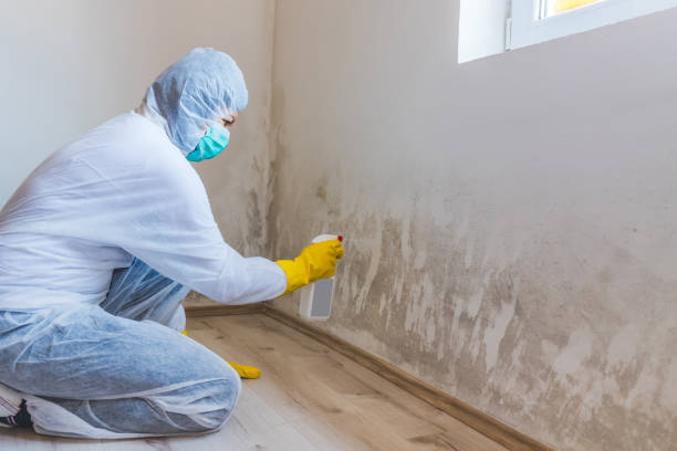 Crawl Space Mold Remediation treatment of floor joists in Pequea