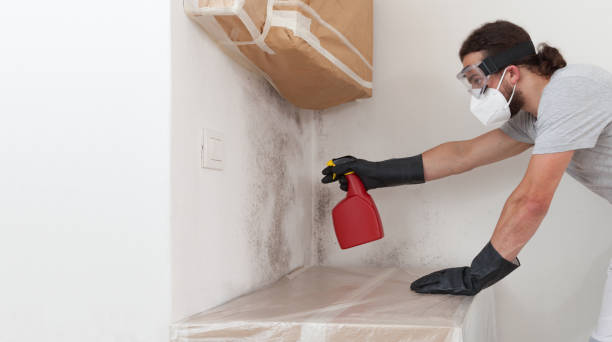 Attic Mold Remediation treatment on roof deck in Pequea