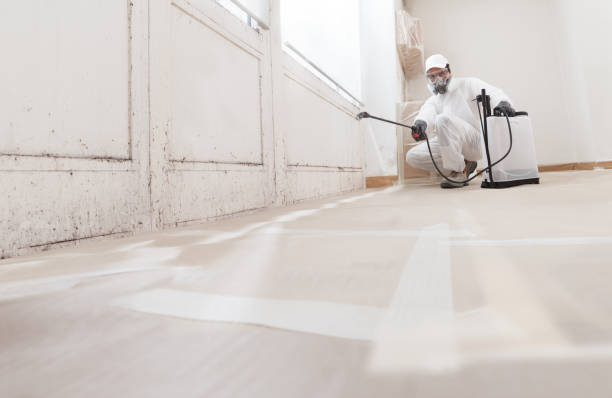 Black mold remediation team in Pequea